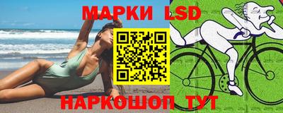 гашик Донской
