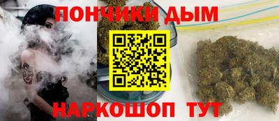 гашик Донской