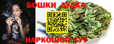 хмурый Дубна