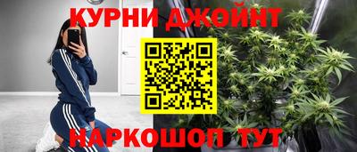 гашик Донской