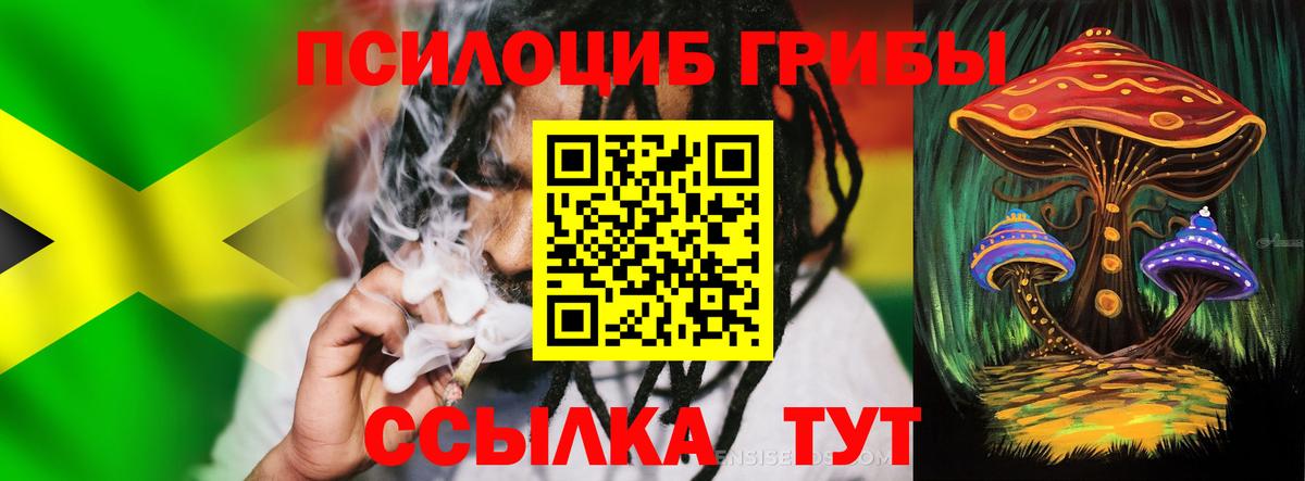 Псилоцибиновые грибы мицелий Можайск